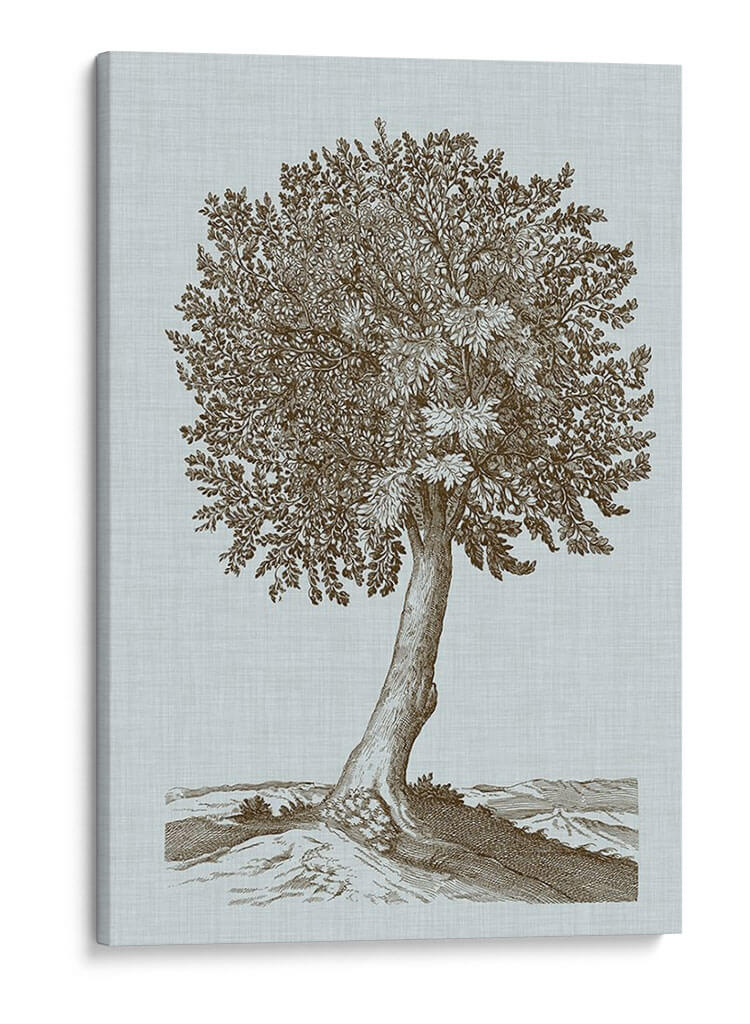 Árbol Antiguo En Sepia I - Vision Studio | Cuadro decorativo de Canvas Lab