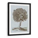 Árbol Antiguo En Sepia I - Vision Studio | Cuadro decorativo de Canvas Lab