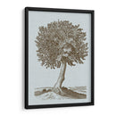 Árbol Antiguo En Sepia I - Vision Studio | Cuadro decorativo de Canvas Lab