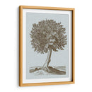 Árbol Antiguo En Sepia I - Vision Studio | Cuadro decorativo de Canvas Lab