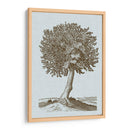 Árbol Antiguo En Sepia I - Vision Studio | Cuadro decorativo de Canvas Lab