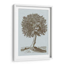 Árbol Antiguo En Sepia I - Vision Studio | Cuadro decorativo de Canvas Lab