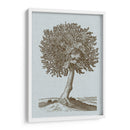 Árbol Antiguo En Sepia I - Vision Studio | Cuadro decorativo de Canvas Lab