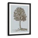 Árbol Antiguo En Sepia Ii - Vision Studio | Cuadro decorativo de Canvas Lab