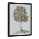 Árbol Antiguo En Sepia Ii - Vision Studio | Cuadro decorativo de Canvas Lab