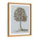 Árbol Antiguo En Sepia Ii - Vision Studio | Cuadro decorativo de Canvas Lab