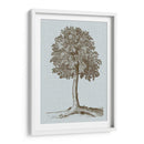 Árbol Antiguo En Sepia Ii - Vision Studio | Cuadro decorativo de Canvas Lab