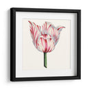 Tulip Garden I - Vision Studio | Cuadro decorativo de Canvas Lab