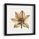 Tulip Garden V - Vision Studio | Cuadro decorativo de Canvas Lab