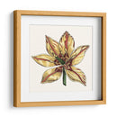 Tulip Garden V - Vision Studio | Cuadro decorativo de Canvas Lab