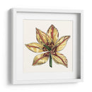 Tulip Garden V - Vision Studio | Cuadro decorativo de Canvas Lab