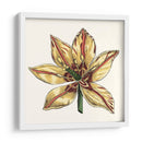 Tulip Garden V - Vision Studio | Cuadro decorativo de Canvas Lab