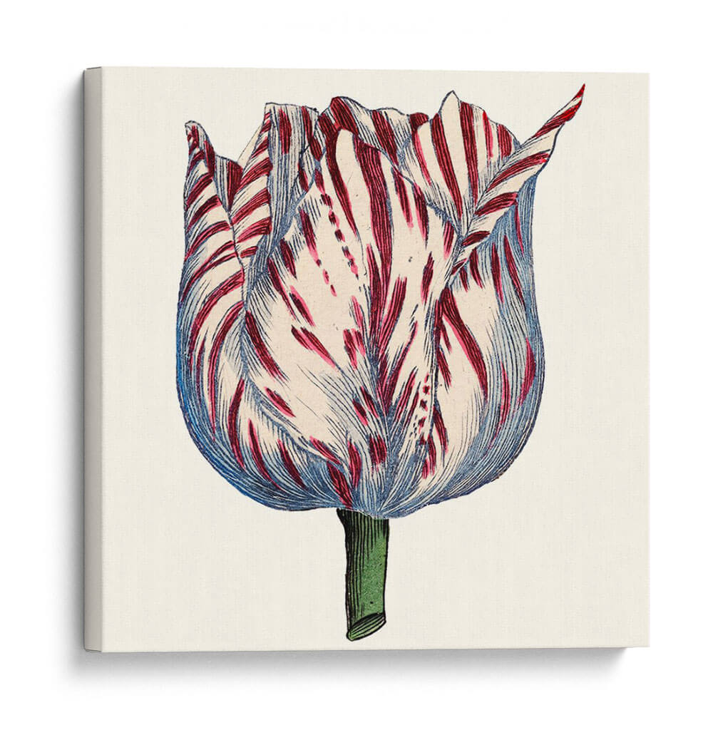 Tulip Garden Vi - Vision Studio | Cuadro decorativo de Canvas Lab