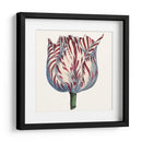 Tulip Garden Vi - Vision Studio | Cuadro decorativo de Canvas Lab