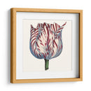 Tulip Garden Vi - Vision Studio | Cuadro decorativo de Canvas Lab