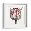 Tulip Garden Vi - Vision Studio | Cuadro decorativo de Canvas Lab