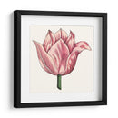 Tulip Garden Vii - Vision Studio | Cuadro decorativo de Canvas Lab