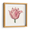 Tulip Garden Vii - Vision Studio | Cuadro decorativo de Canvas Lab