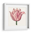 Tulip Garden Vii - Vision Studio | Cuadro decorativo de Canvas Lab