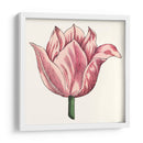 Tulip Garden Vii - Vision Studio | Cuadro decorativo de Canvas Lab