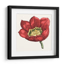 Tulip Garden Viii - Vision Studio | Cuadro decorativo de Canvas Lab