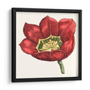 Tulip Garden Viii - Vision Studio | Cuadro decorativo de Canvas Lab