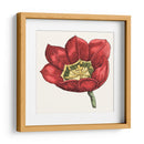 Tulip Garden Viii - Vision Studio | Cuadro decorativo de Canvas Lab