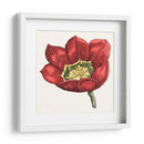 Tulip Garden Viii - Vision Studio | Cuadro decorativo de Canvas Lab