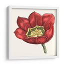 Tulip Garden Viii - Vision Studio | Cuadro decorativo de Canvas Lab