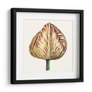 Tulip Garden Ix - Vision Studio | Cuadro decorativo de Canvas Lab