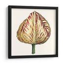 Tulip Garden Ix - Vision Studio | Cuadro decorativo de Canvas Lab