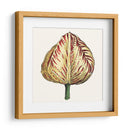 Tulip Garden Ix - Vision Studio | Cuadro decorativo de Canvas Lab