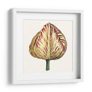 Tulip Garden Ix - Vision Studio | Cuadro decorativo de Canvas Lab