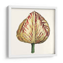 Tulip Garden Ix - Vision Studio | Cuadro decorativo de Canvas Lab