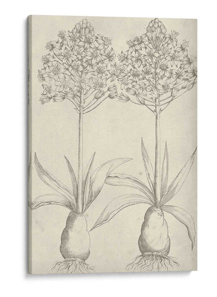 Fresco Floral I - Vision Studio | Cuadro decorativo de Canvas Lab