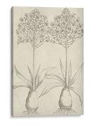 Fresco Floral I - Vision Studio | Cuadro decorativo de Canvas Lab