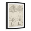 Fresco Floral I - Vision Studio | Cuadro decorativo de Canvas Lab