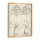 Fresco Floral I - Vision Studio | Cuadro decorativo de Canvas Lab