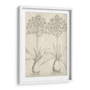 Fresco Floral I - Vision Studio | Cuadro decorativo de Canvas Lab