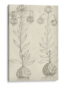 Fresco Floral Ii - Vision Studio | Cuadro decorativo de Canvas Lab