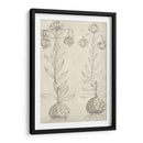 Fresco Floral Ii - Vision Studio | Cuadro decorativo de Canvas Lab