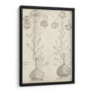 Fresco Floral Ii - Vision Studio | Cuadro decorativo de Canvas Lab