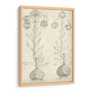 Fresco Floral Ii - Vision Studio | Cuadro decorativo de Canvas Lab