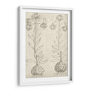 Fresco Floral Ii - Vision Studio | Cuadro decorativo de Canvas Lab