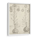 Fresco Floral Ii - Vision Studio | Cuadro decorativo de Canvas Lab