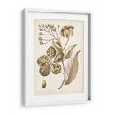 Oscher Botanical Ii - Vision Studio | Cuadro decorativo de Canvas Lab