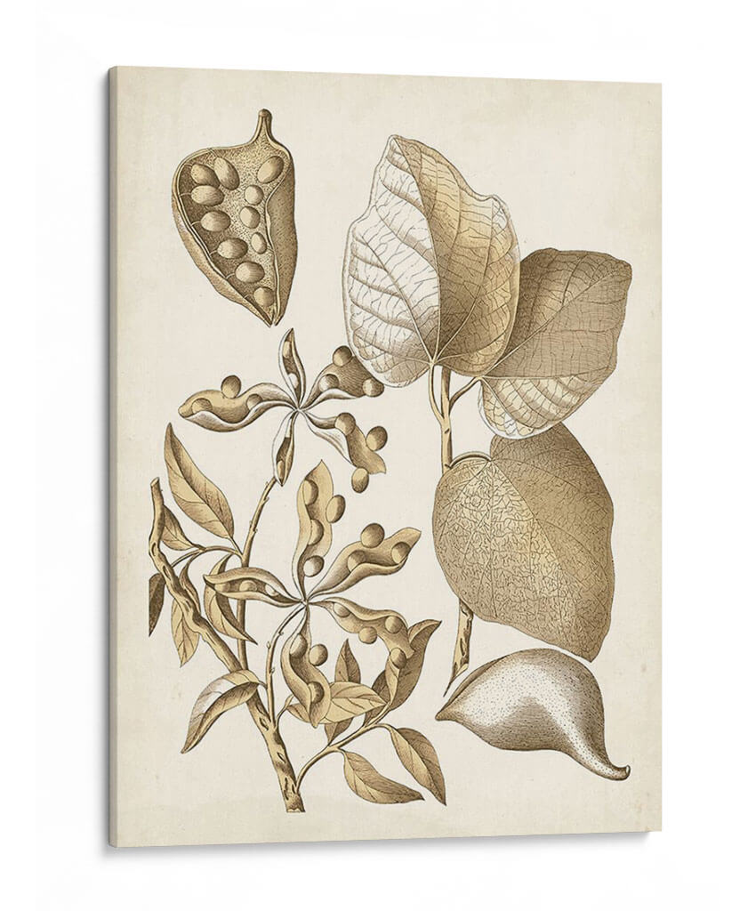 Ocher Botanical Iii - Vision Studio | Cuadro decorativo de Canvas Lab