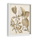 Ocher Botanical Iii - Vision Studio | Cuadro decorativo de Canvas Lab