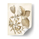 Ocher Botanical Iii - Vision Studio | Cuadro decorativo de Canvas Lab