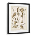 Obro Botanical Iv - Vision Studio | Cuadro decorativo de Canvas Lab